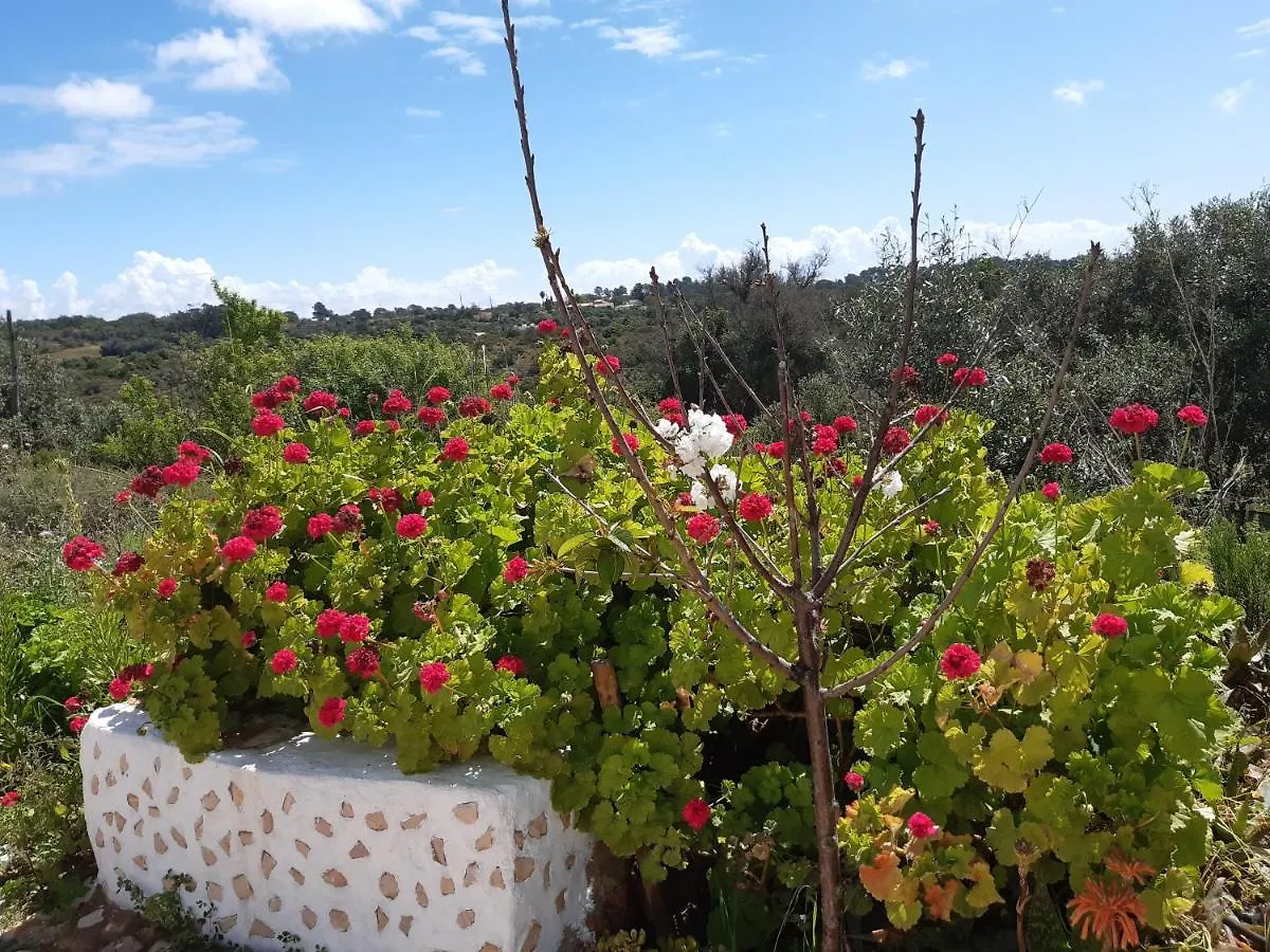 라고스 Quinta Da Jolanda-Happy Family Farm 아파트